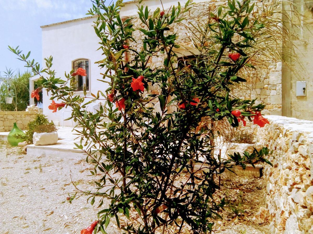 فيلا Casale Conte Dell'Anna بورتو سيساريو المظهر الخارجي الصورة